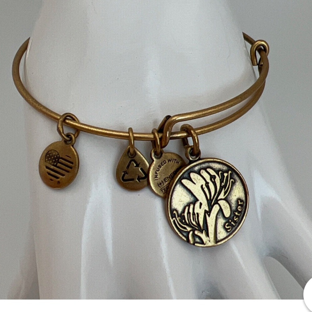 Alex and Ani Gold Tone Charm Bracelet